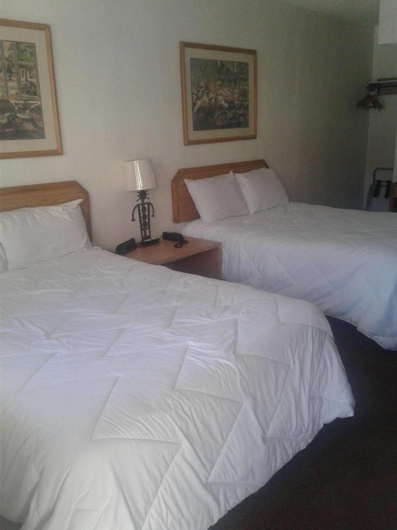 Desert Rose Inn Reno Esterno foto